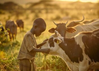 Reflexões e Ações para um Mundo Melhor: Veganismo e os Direitos dos Animais!